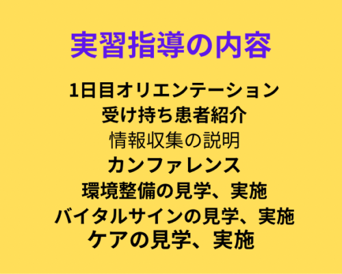 実習指導の内容