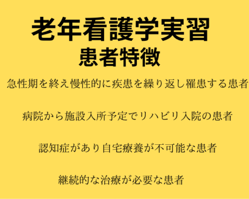 老年看護学実習