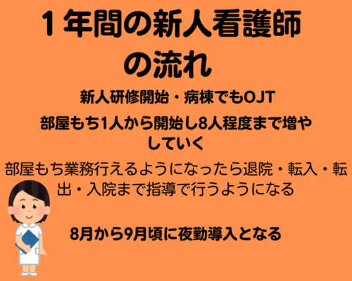 新人看護師の流れ