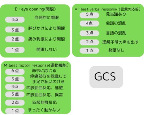 E：eye opening(開眼）