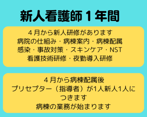 新人看護師１年間